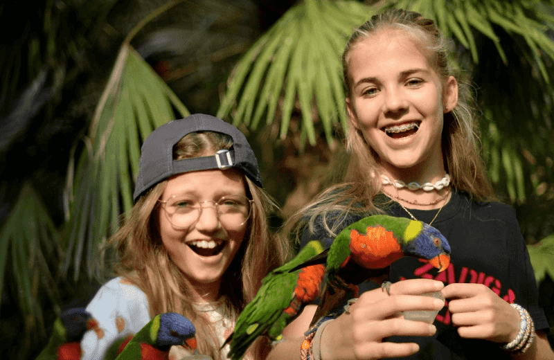 Vogelpark Avifauna