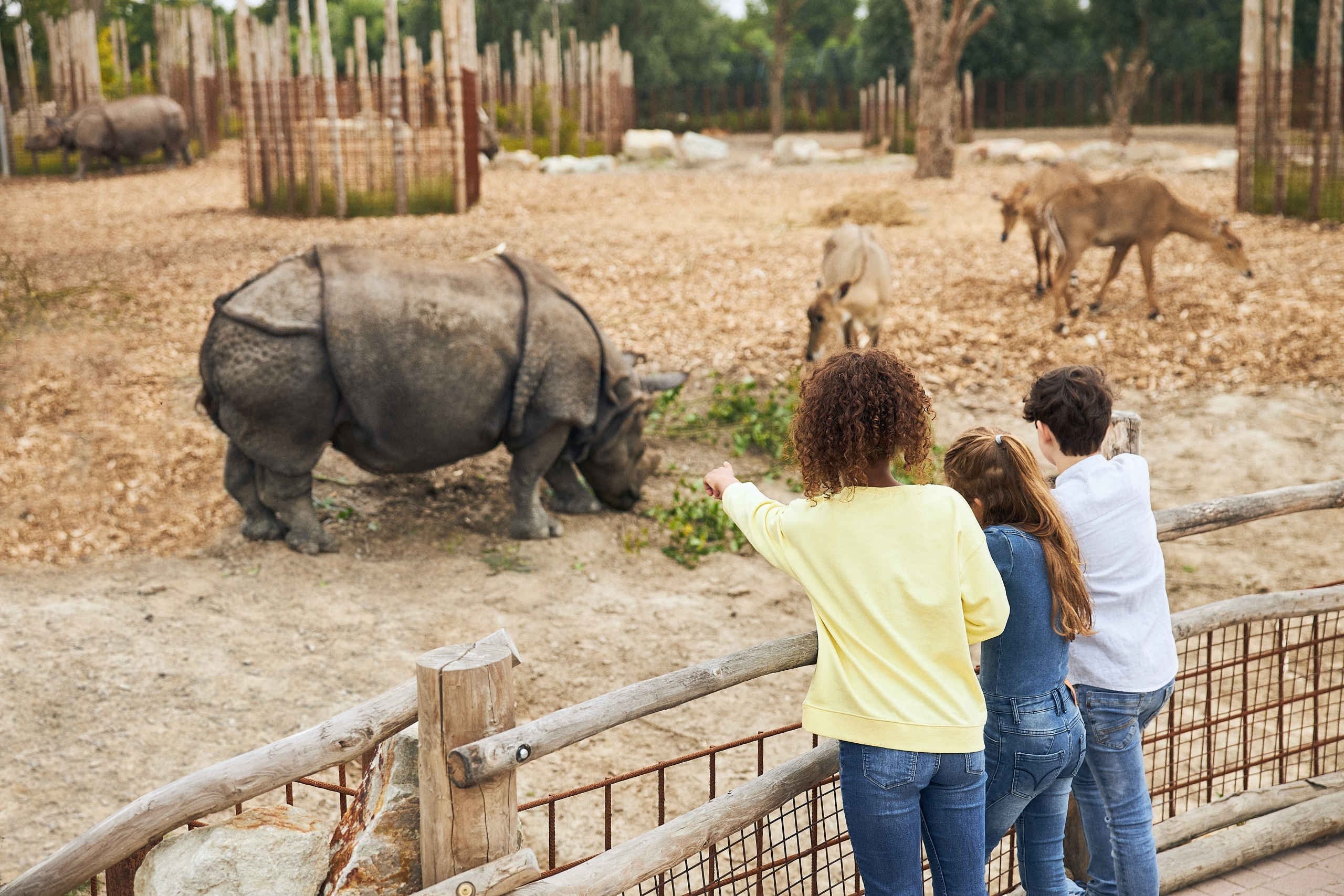 Eindhoven zoo 1