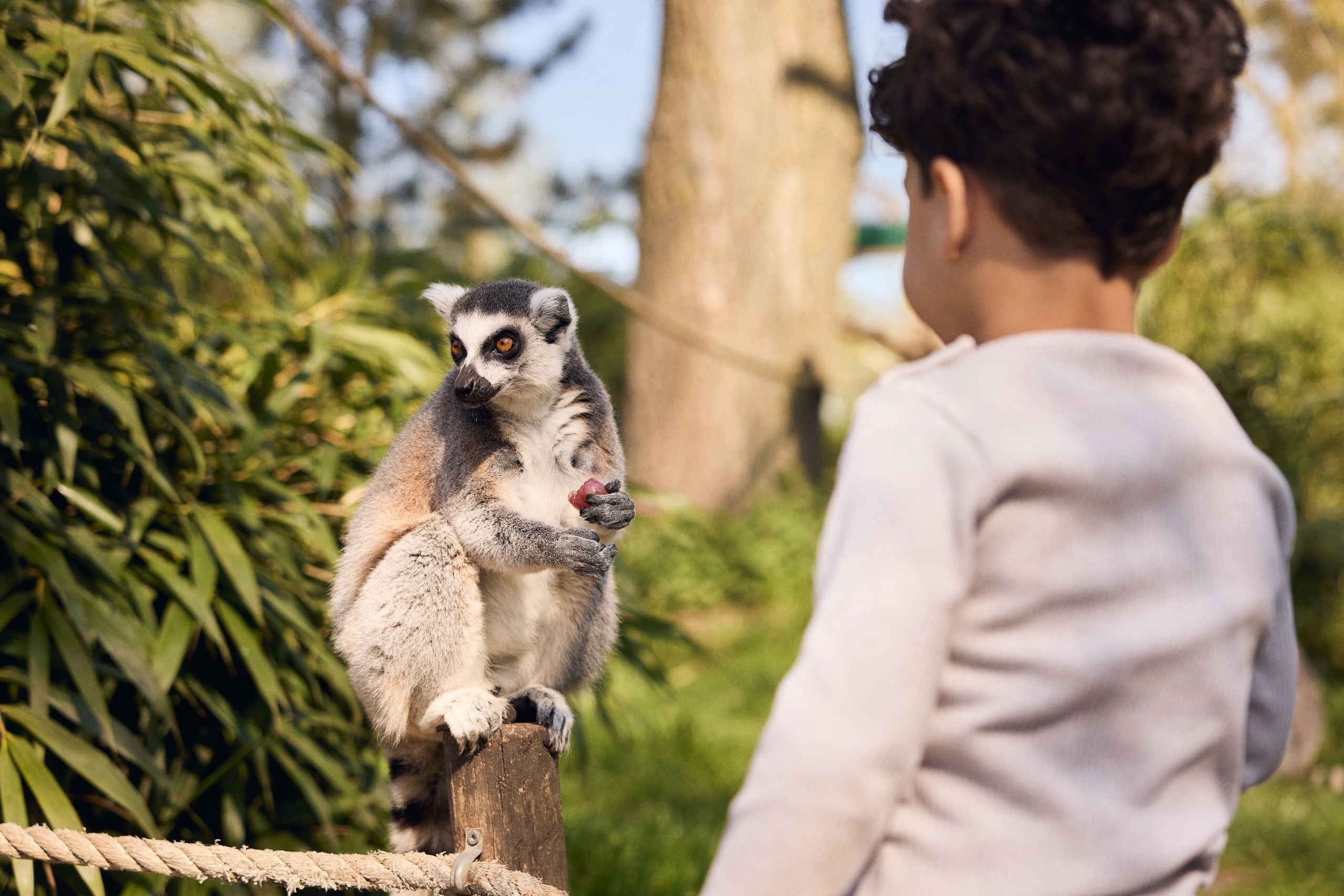 Eindhoven zoo 2