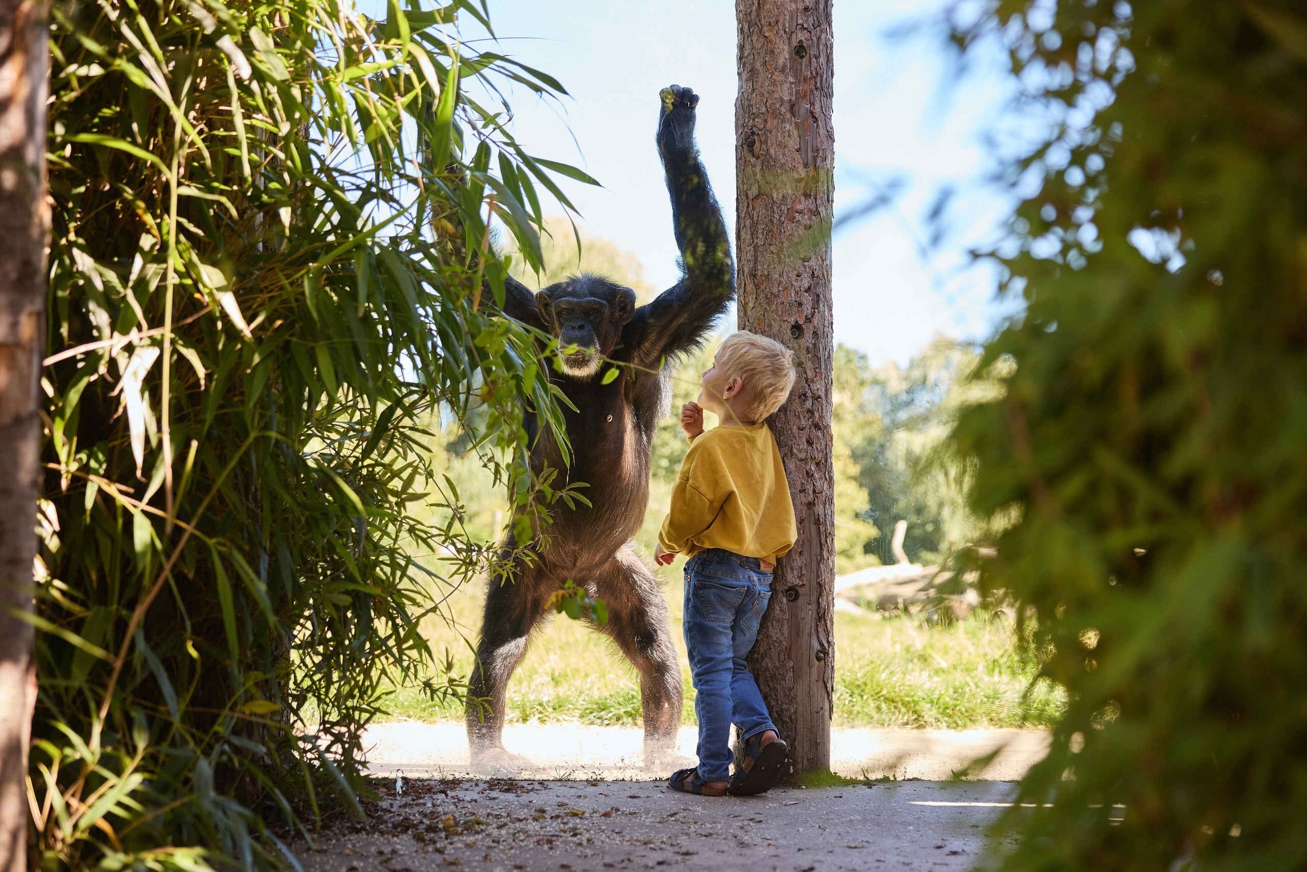 Eindhoven zoo 4