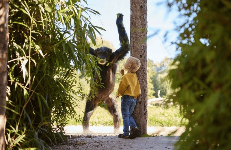 Eindhoven Zoo
