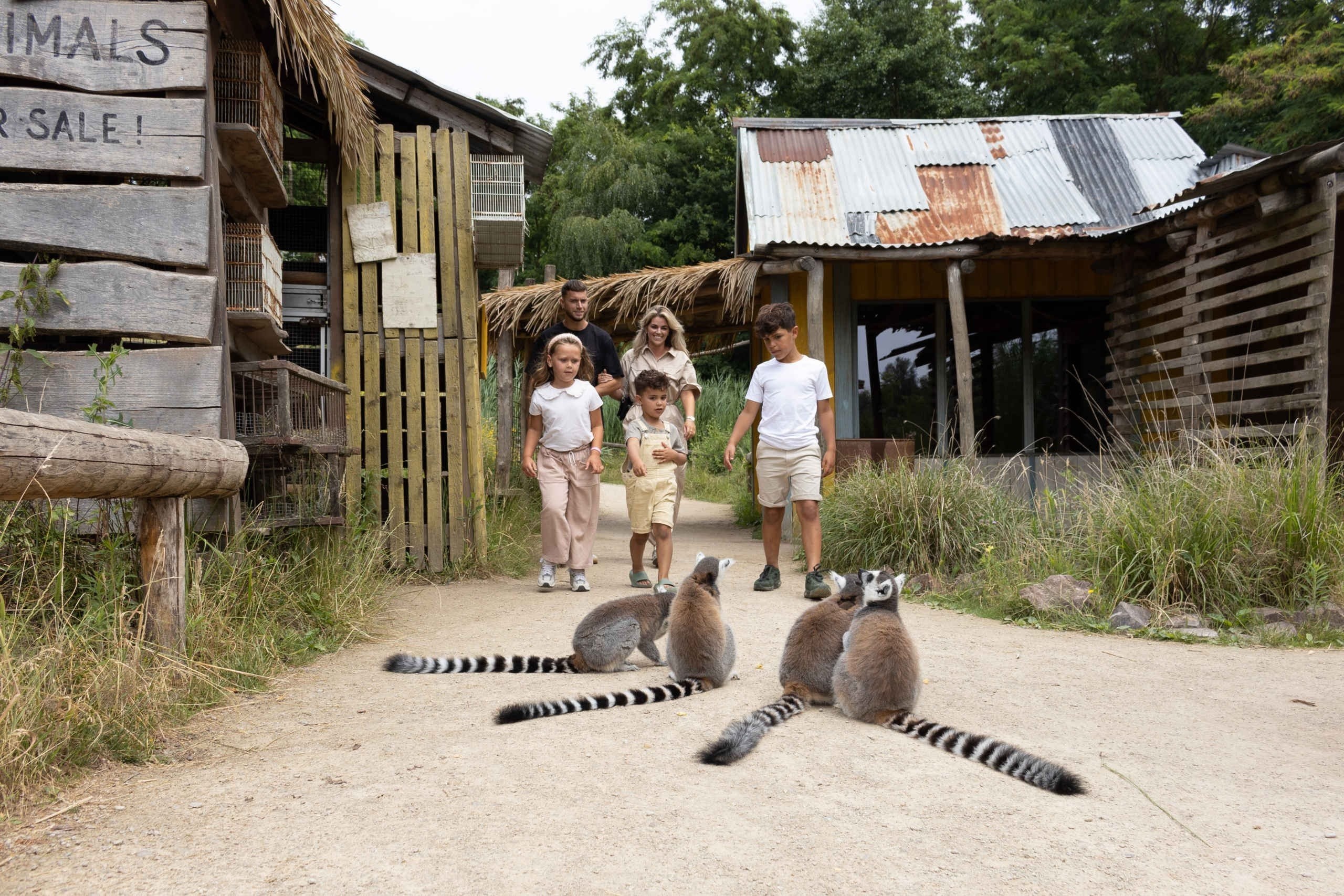 Zooparc 28 juni