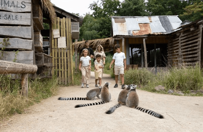 Zooparc Overloon