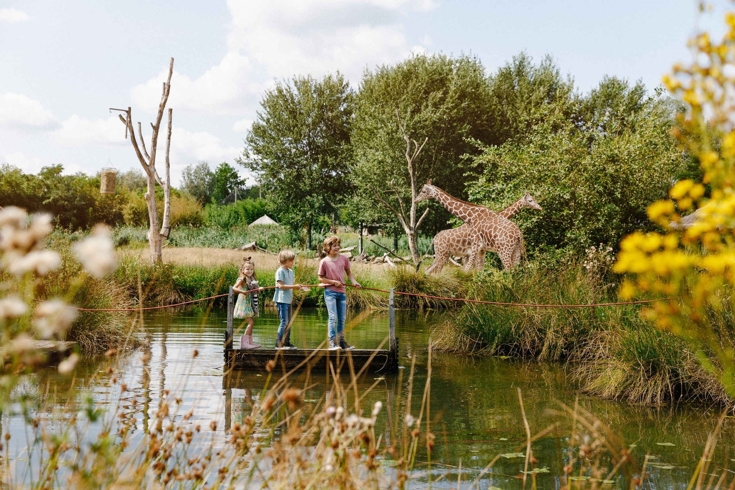 Zooparc overloon 